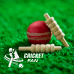 cricket-fan-74x74