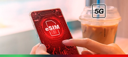 free-sim-nwt1-en-500x225
